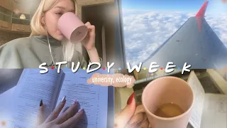 STUDY WEEK: как проходит дистанционное обучение, университет, экология, книги