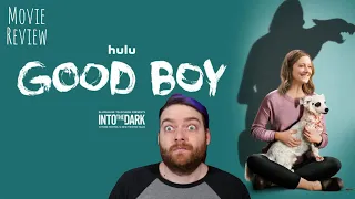 Good Boy (2020) Movie Review HULU INTO THE DARK
