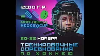 Море Спорта Hockey Cup ХК Юность - ХК Владимирские Тигры 2010 г.р. 20.11.2020