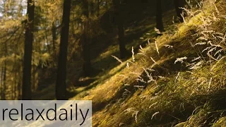 Relaxing Piano Music - smooth, yoga, study, relax – relaxdaily N°094