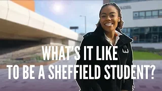 What's it like to be a University of Sheffield student?