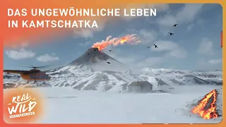 Land der Vulkane und Abenteuer | Kamtschatka - Doku | Real Wild Deutschland