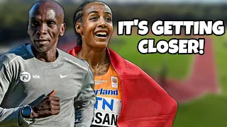 Marathon World Records Are in Danger! | Sifan Hassan | Eliud Kipchoge | Tokyo Marathon