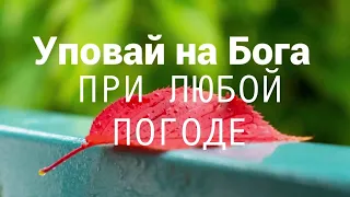 УПОВАЙ НА БОГА ПРИ ЛЮБОЙ ПОГОДЕ  - Вячеслав Бойнецкий