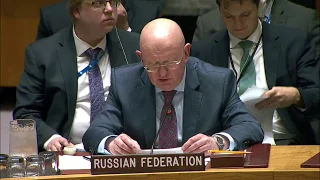 EOV by Amb.Nebenzia on extending the mandate of Experts' Panel of the UNSC Committee on the Sudan