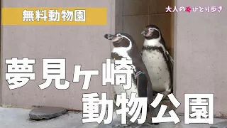 神奈川：夢見ヶ崎動物公園　無料動物園を楽しんできました-had a fun time in free zoo