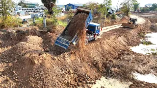 Heavy Bulldozer Working Pushing Dirt Pond Restoration And Truck Delivery Supply For Make New Dam