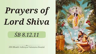 Prayers of Lord Shiva | ŚB 8.12.11 | ISKCON Vrindavan | HH Bhakti Ashraya Vaisnava Swami