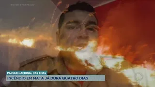 PARQUE NACIONAL DAS EMAS: INCÊNDIO EM MATA JÁ DURA QUATRO DIAS.