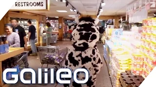 Abenteuer-Supermarkt in den USA | Galileo | ProSieben