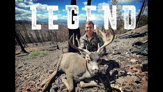 TROPHY CLASS California Blacktail on OTC Public Land || California Deer Hunting 2021