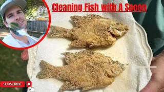 Bluegill/PanFish Catch Clean Cook!!! ({Whole Fried Bluegill!!})