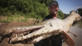 L'ALLIGATOR GAR, UNE BÊTE PRÉHISTORIQUE ! - Cyril Chauquet