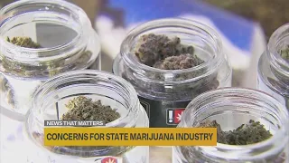 Marijuana industry warns legal market could collapse