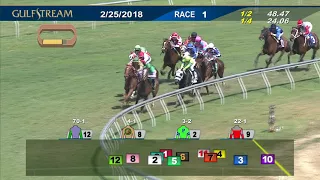 Gulfstream Park Race 1 | February 25, 2018