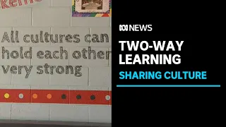 The Alice Springs primary school sharing culture to create a more inclusive environment | ABC News