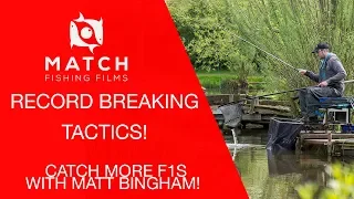 F1 Bagging! How Matt Bingham Broke The Tunnel Barn Farm Record!