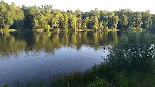 Лісове озеро м. Моршин