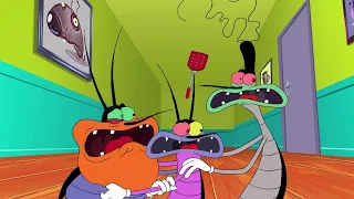 Oggy and the Cockroaches 😨 INVISIBLE OGGY - Full Episodes HD