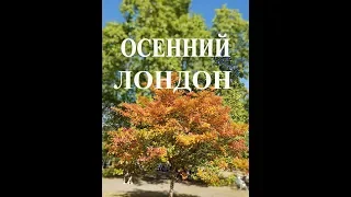 Парки Лондон.Сент Джеимс Парк.Каникулы Лондон.Лондон один День.Лондон Обзор.Лондон Сегодня Видео