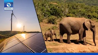 Focus On Wildlife Conservation, Renewable Energy + More Stories | Eco Africa
