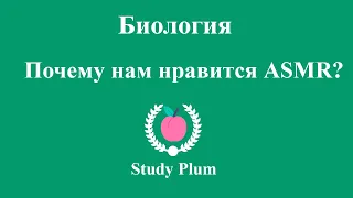 Биология - Почему нам нравится АСМР? | Рубрика "С точки зрения..."