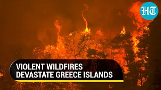 'Nightmarish Summer': Wildfires in Greece ravage islands, force thousands to flee