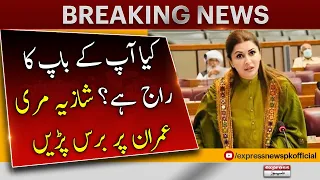 Kya Apke Baap Ka Raj Hai? - Shazia Marri | Breaking News | PPP vs Imran Khan | Sindh Govt