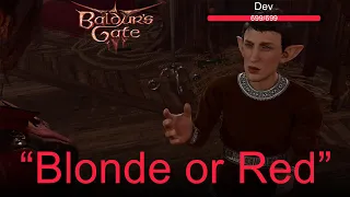 Baldur's Gate 3 - Found the Dev in BG3
