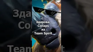 Здарова, Collaps из Team Spirit