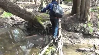 The Hunt For Bigfoot: A Documentary 2012