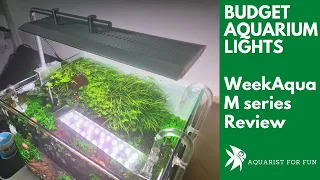 CHIHIROS CONTENDER? Week Aqua M series Aquarium Lights @weekaqua