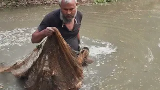 Fishing method in village canals।। fishing boats।। village fishing।। fishing nets। rsl fish cutting