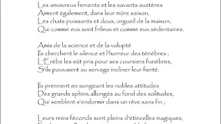 Baudelaire (Charles) : LES CHATS - Les amoureux fervents et les savants austères