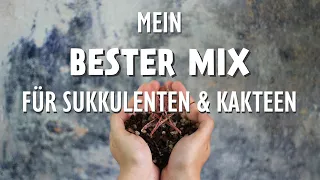 Das PERFEKTE Substrat für deine Sukkulenten & Kakteen: Kakteen- und Sukkulentenerde selber mischen 🌵