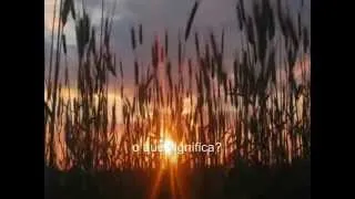 Bright Eyes - Art Garfunkel subtitulos español