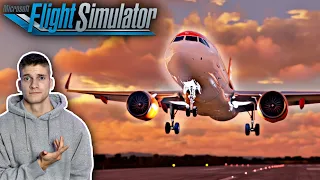 Schöner Anflug auf Basel! Microsoft Flight Simulator - VATSIM - AeroSimGermany