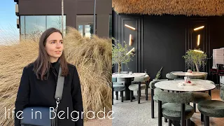 Belgrade diaries 11: what I've been up to lately