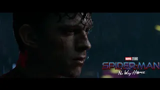 SPIDER-MAN: NO WAY HOME | Avengers: Endgame TO THE END Style!!