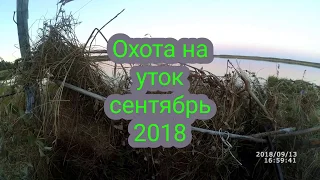 Охота на уток! Неплохо поохотился! Якутия/ Duck hunting! Yakutia.