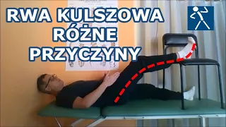 Jakie są przyczyny rwy kulszowej? Co może uciskać nerw kulszowy? Przyczyny, objawy i terapia I 🇵🇱 🇪🇺