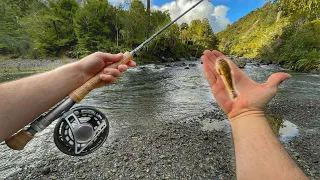Searching For New Zealand’s MEAT EATING Trout!