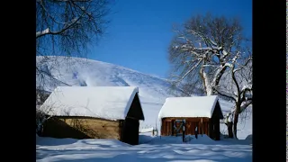 Skoki Narciarskie 2002 - Oberstdorf