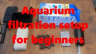 Aquarium filtration setup, beginners guide.