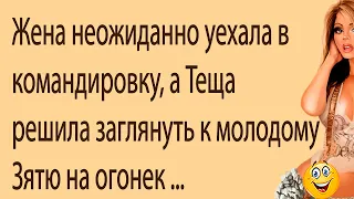 Жена уехала в командировку, а Теща решила заглянуть к молодому Зятю на огонек ... | Смешные Анекдоты