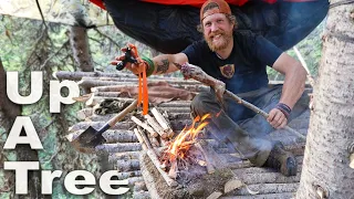 Slingshot Catch and Cook Up A Tree Day 29 of 30 Day Survival Challenge Canadian Rockies