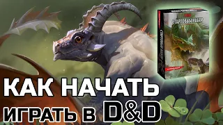 КАК НАЧАТЬ ИГРАТЬ В D&D, СТАРТОВЫЙ НАБОР БЕСПОЛЕЗЕН?