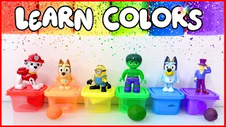 Learn Colors with Bluey and the Paw Patrol | Preschool Toddler Learning Video