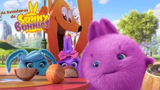 As Aventuras de Sunny Bunnies | Noz dura de quebrar | Series 2 | Desenhos Animados Infantis