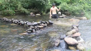 Primitive Technology: Build a stone dam to trap fish and cook fish in the forest of survival